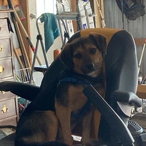 Meet your Posher, Braydon